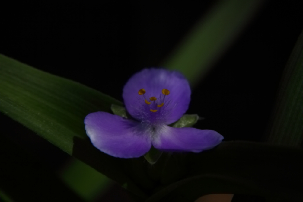 2012 05 20 3643
